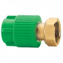 &Mu;&alpha;&sigma;&tau;ό&sigmaf; &theta;&eta;&lambda;&upsilon;&kappa;ό&sigmaf; &Phi;20&Chi;1/2΄΄ &mu;&epsilon; &tau;&rho;&epsilon;&lambda;ό &rho;&alpha;&kappa;ό&rho; &pi;&omicron;&lambda;&upsilon;&pi;&rho;&omicron;&pi;&upsilon;&lambda;&epsilon;&nu;ί&omicron;&upsilon; PPR